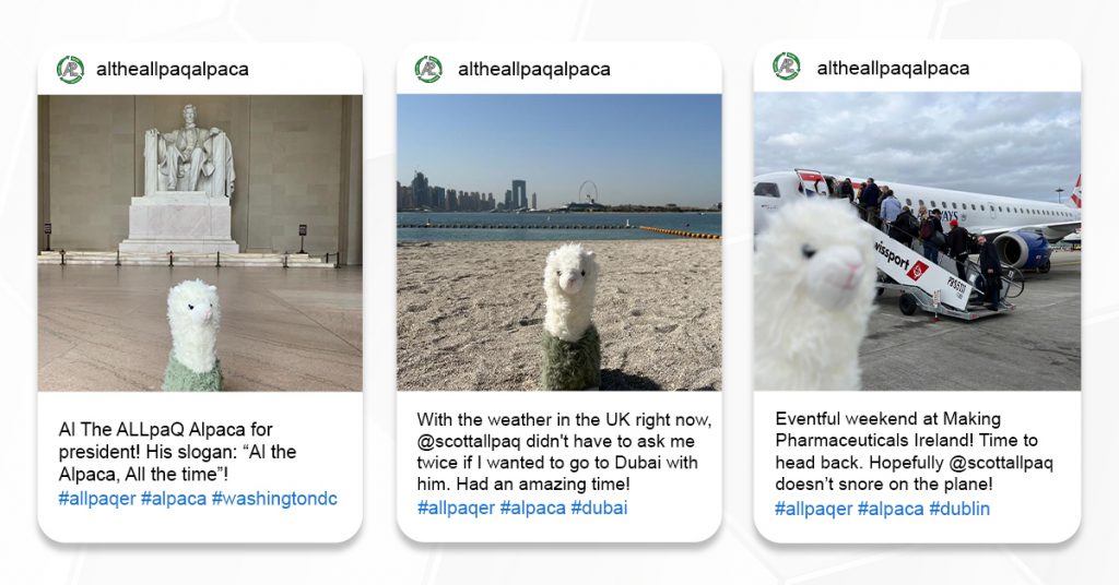 Al-the-ALLpaQ-Alpaca-Around-the-World-Instagram-Posts