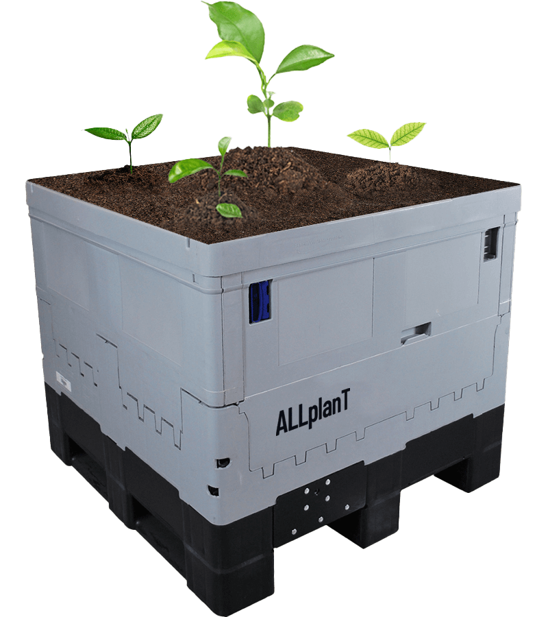 An ALLpaQ container with soil and a plat inside