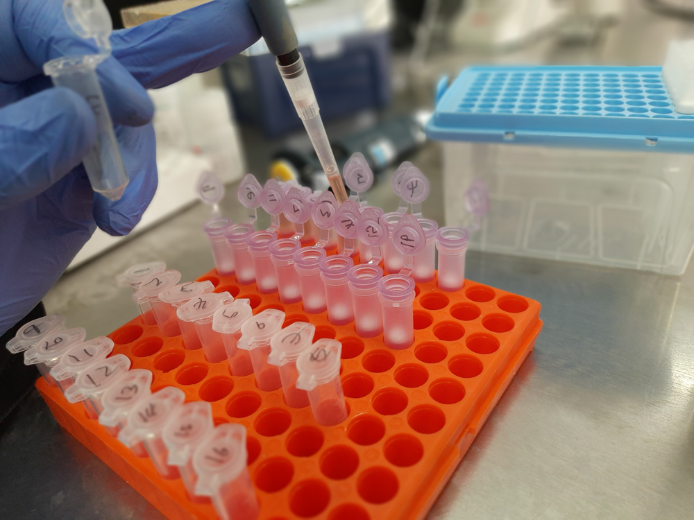 cell test tubes in tray